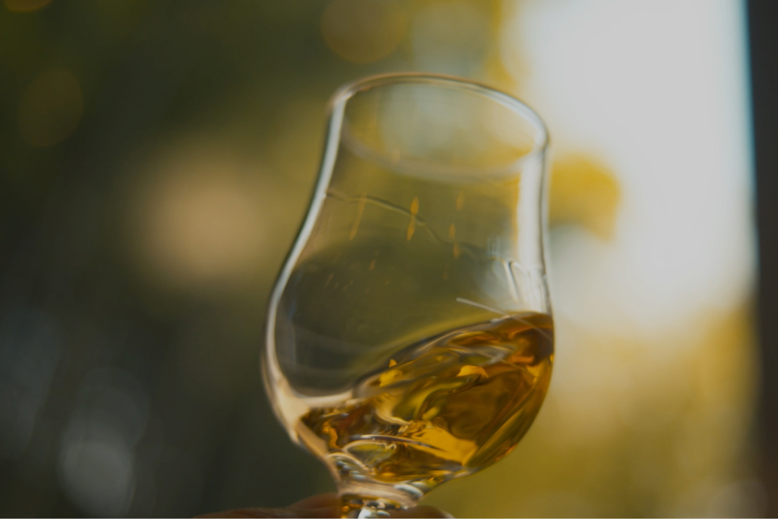 Whisky in whisky glass 