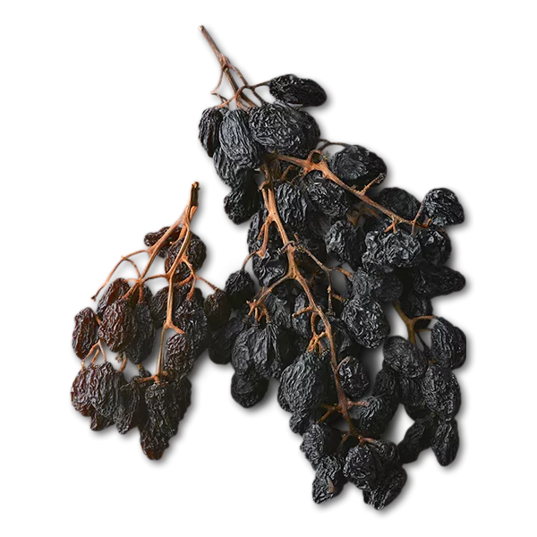 Raisins still on vine