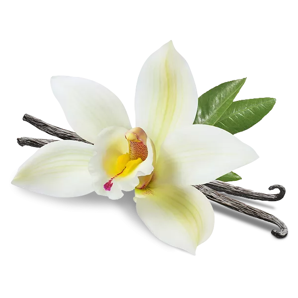 Japanese whisky vanilla flower