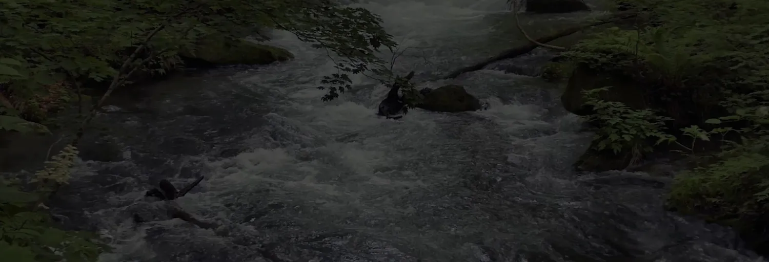 background image with river flowing
