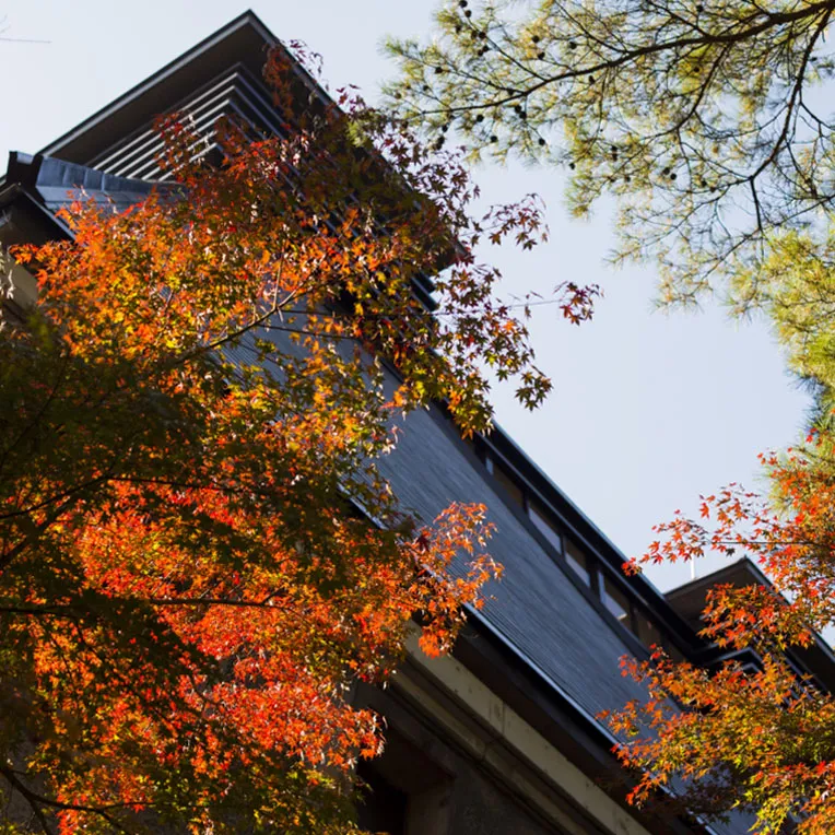 Bright orange leaves against the dark wood of the Hakushu Whisky Distillery building
