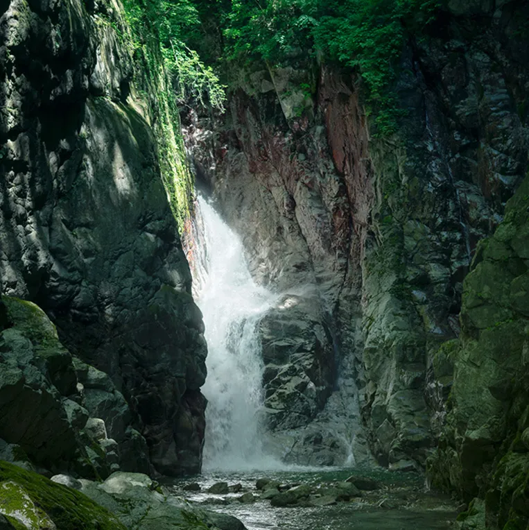 Spring water fall over rocky terrain beneath green trees near the Suntory Hakushu Distillery.