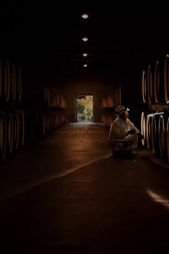 A employee is looking at whisky barrels