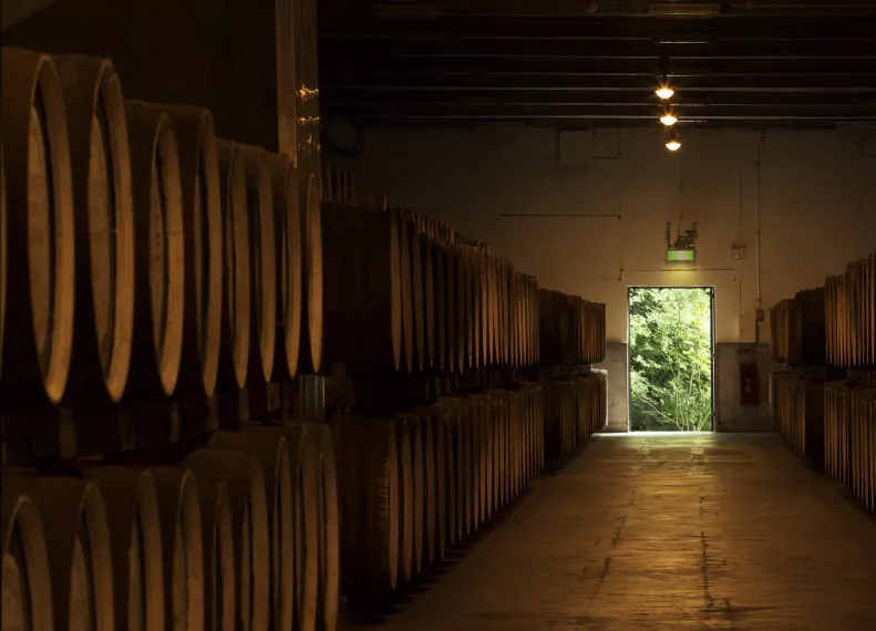 Distillery of the House of Suntory, where Japanese alcohol is produced