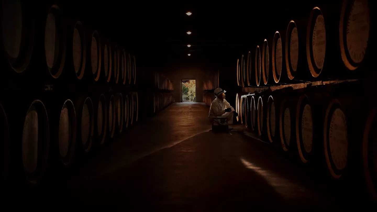 A employee is looking at whisky barrels