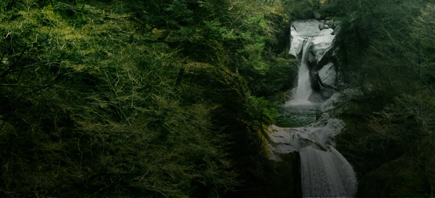 Spring water flowing into a stream in Japan