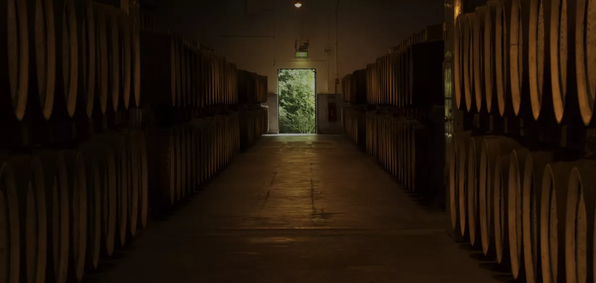 A long hallway within the Suntory Distillery lined with oak barrels