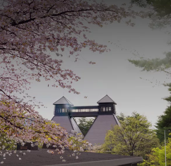 Twin spired roof of the Suntory Whisky Hakushu Distillery behind flowering cherry blossoms