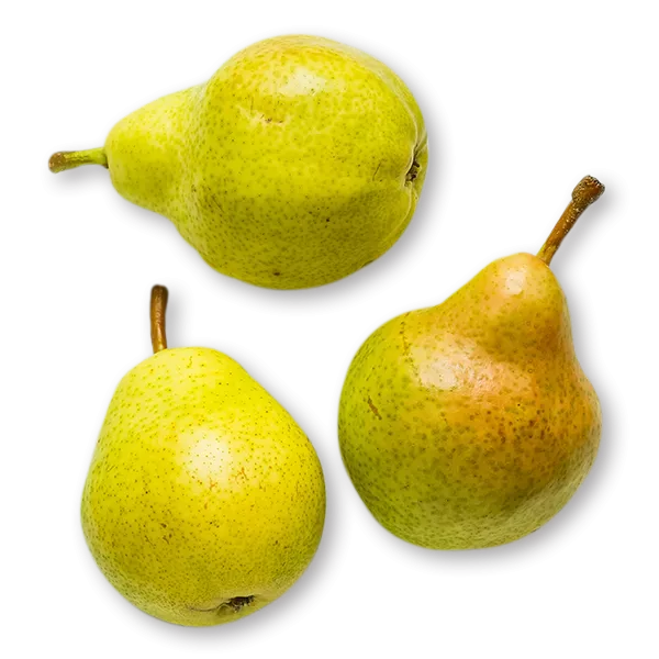 https://house.suntory.com/sites/default/files/styles/original/public/2022-09/pears.png.webp?itok=y8LINLfL