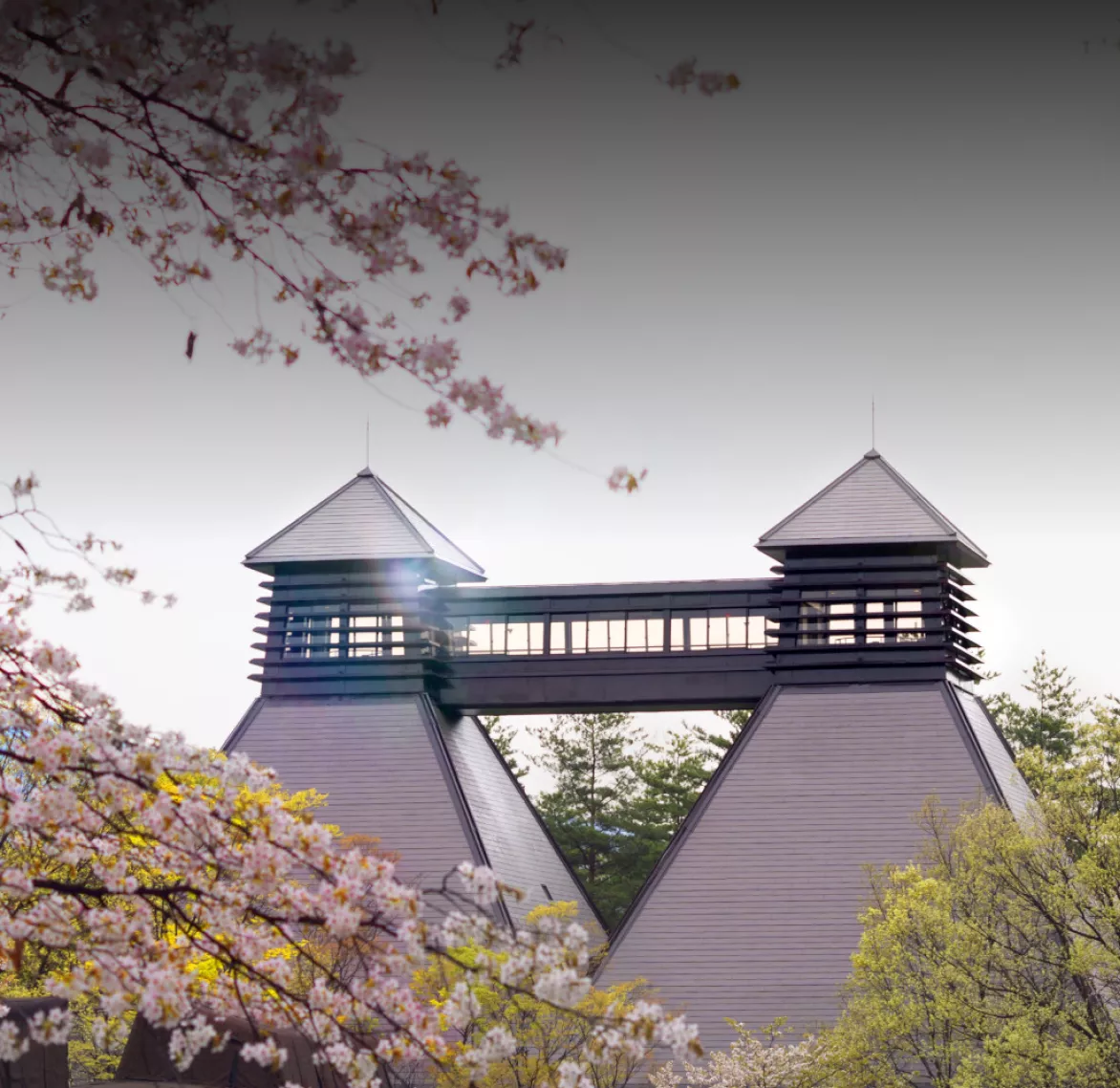 Hakushu_Distillery_image