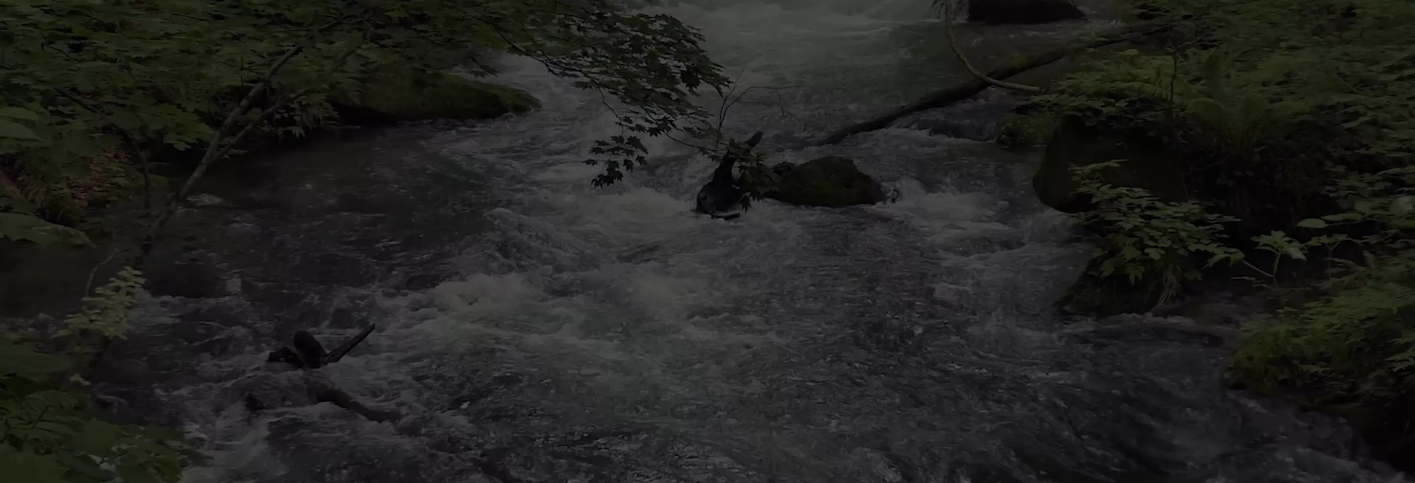 background image with river flowing