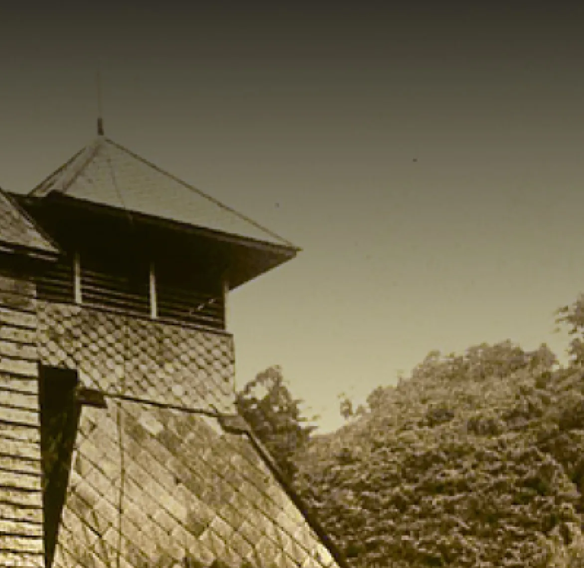 Yamazaki and Hakushu Tsukuriwake 2024 LTO | House of Suntory