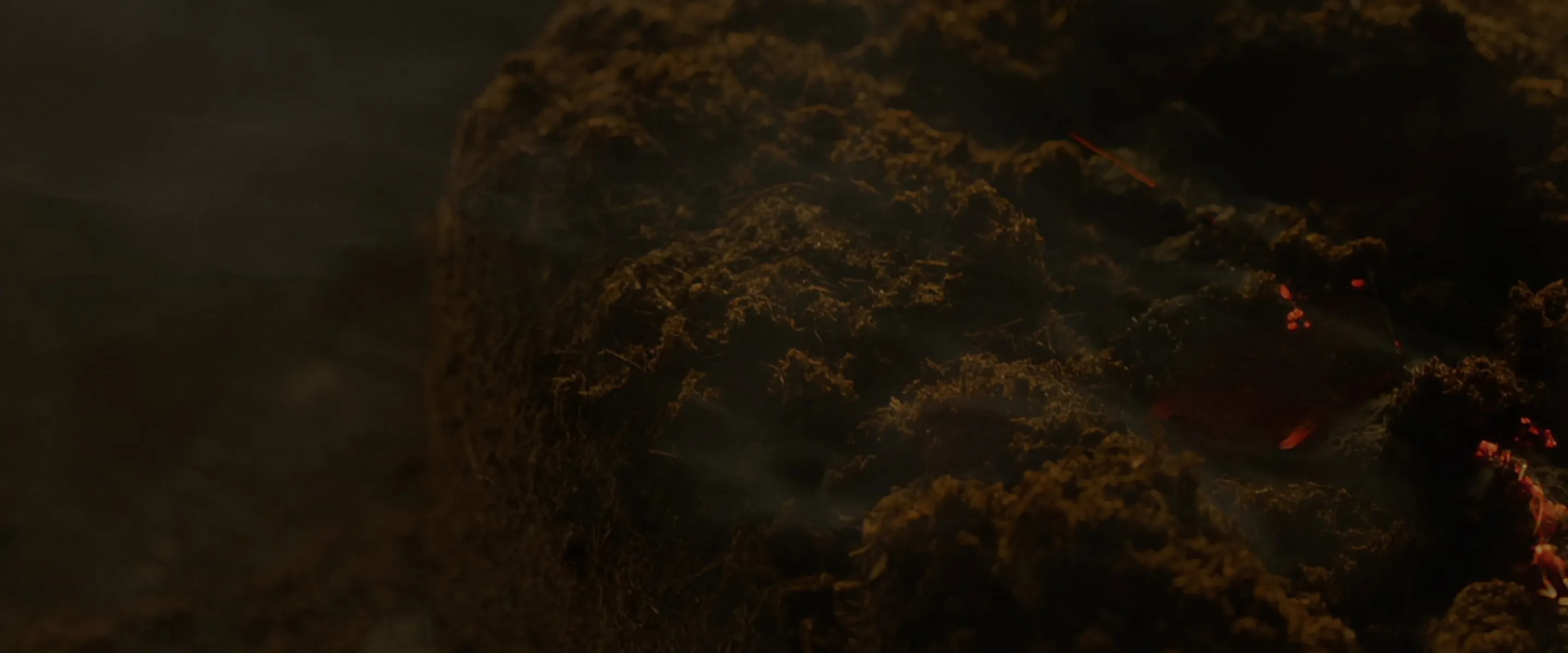 Close-up of sea bottom surface