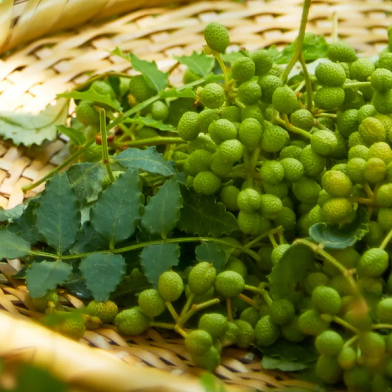 japanese pepper in basket