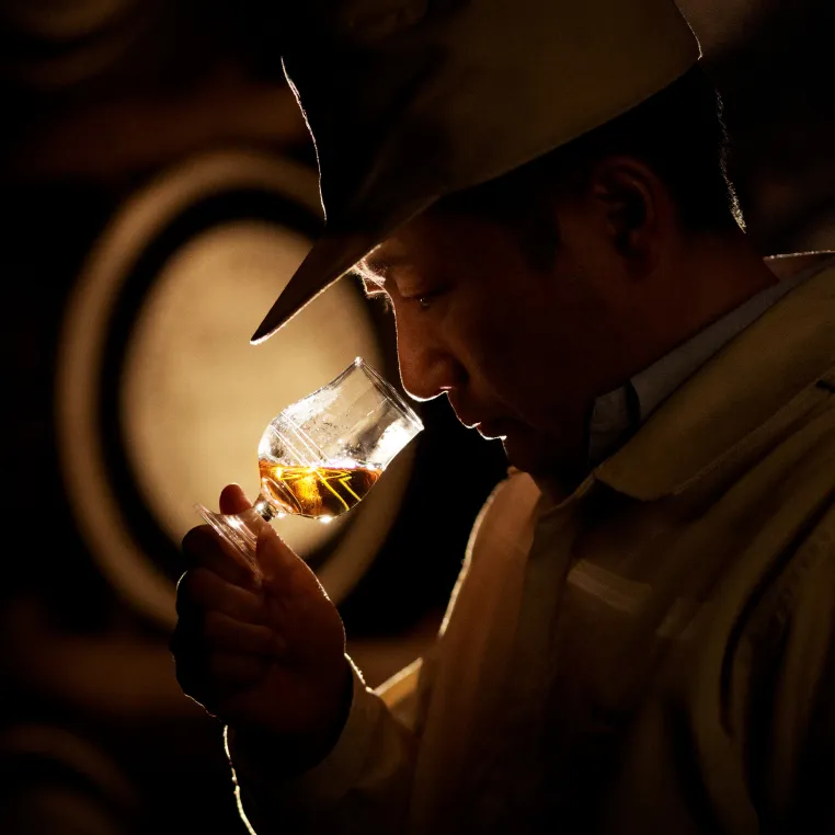 Person examining a glass of amber liquid with wine barrels in the background.
