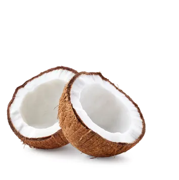 Coconut in 2 halfs