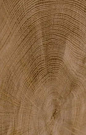 wooden grain image