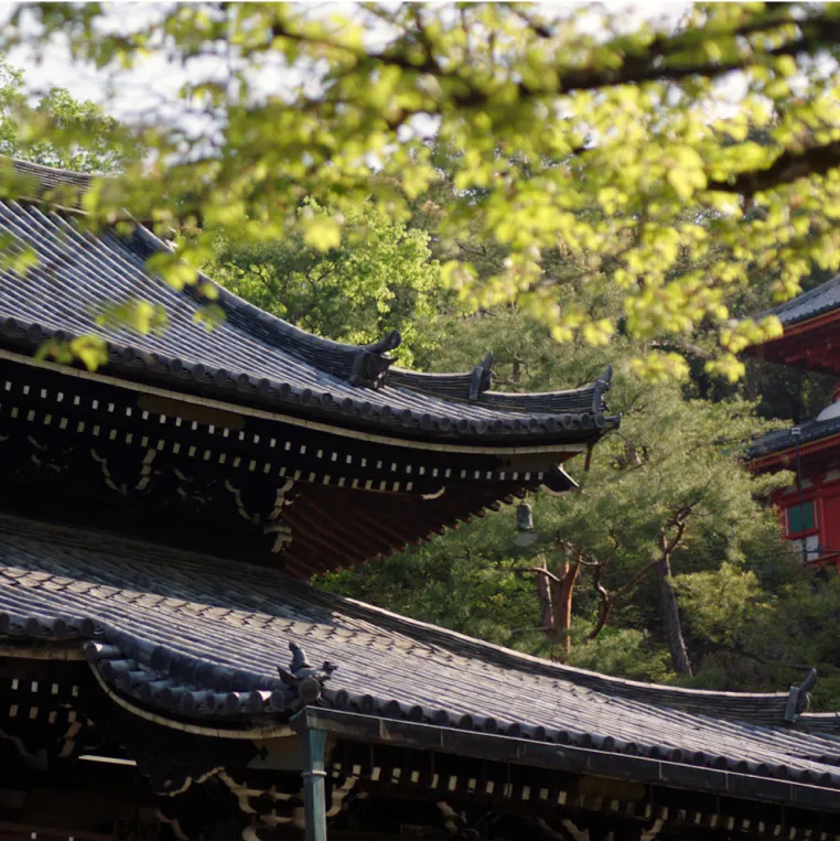Yamazaki distillery top view with nature background