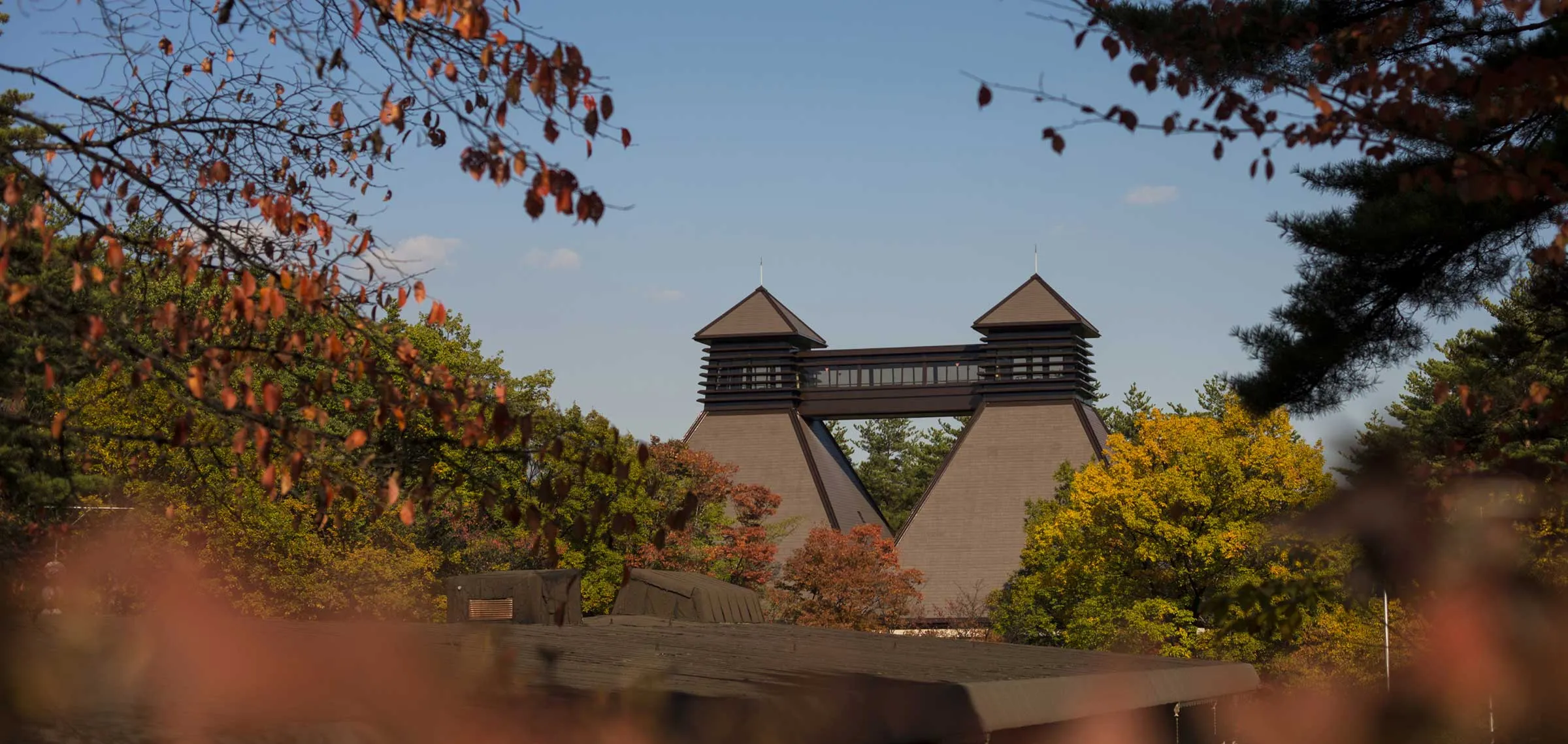 Hakushu distillery cover with nature