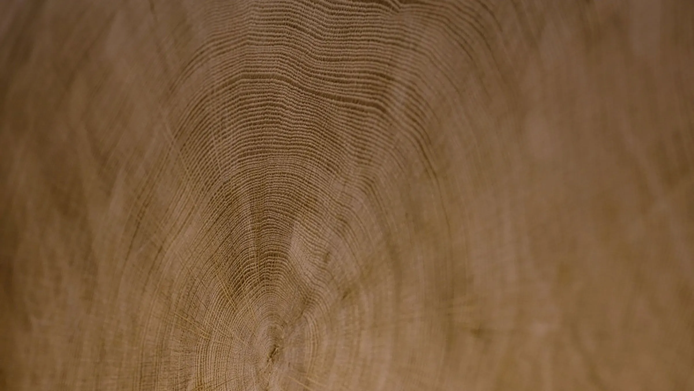 Wooden grain image