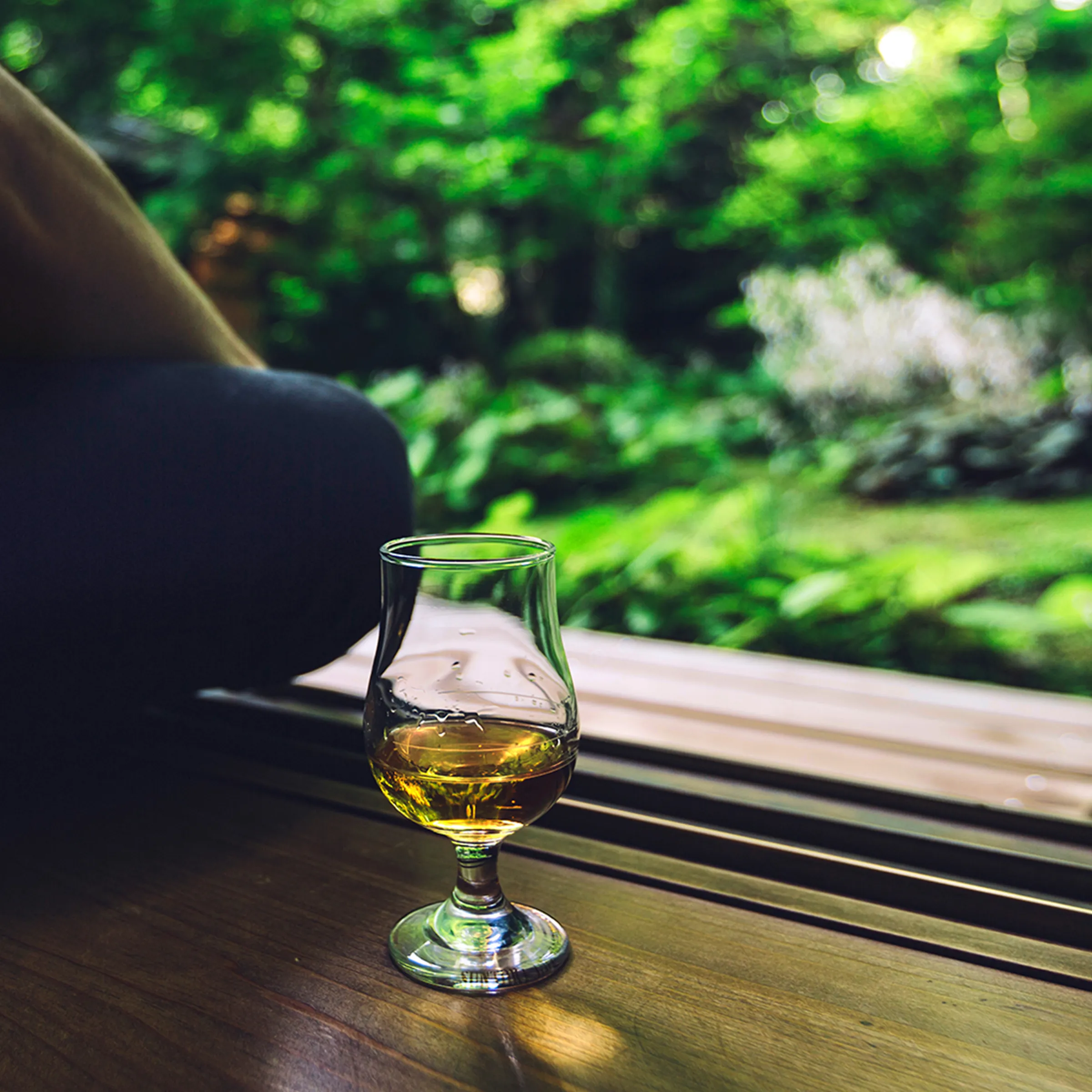 person sitting next to whisky glass