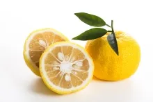 2 yuzu 1 with 2 in half and other full