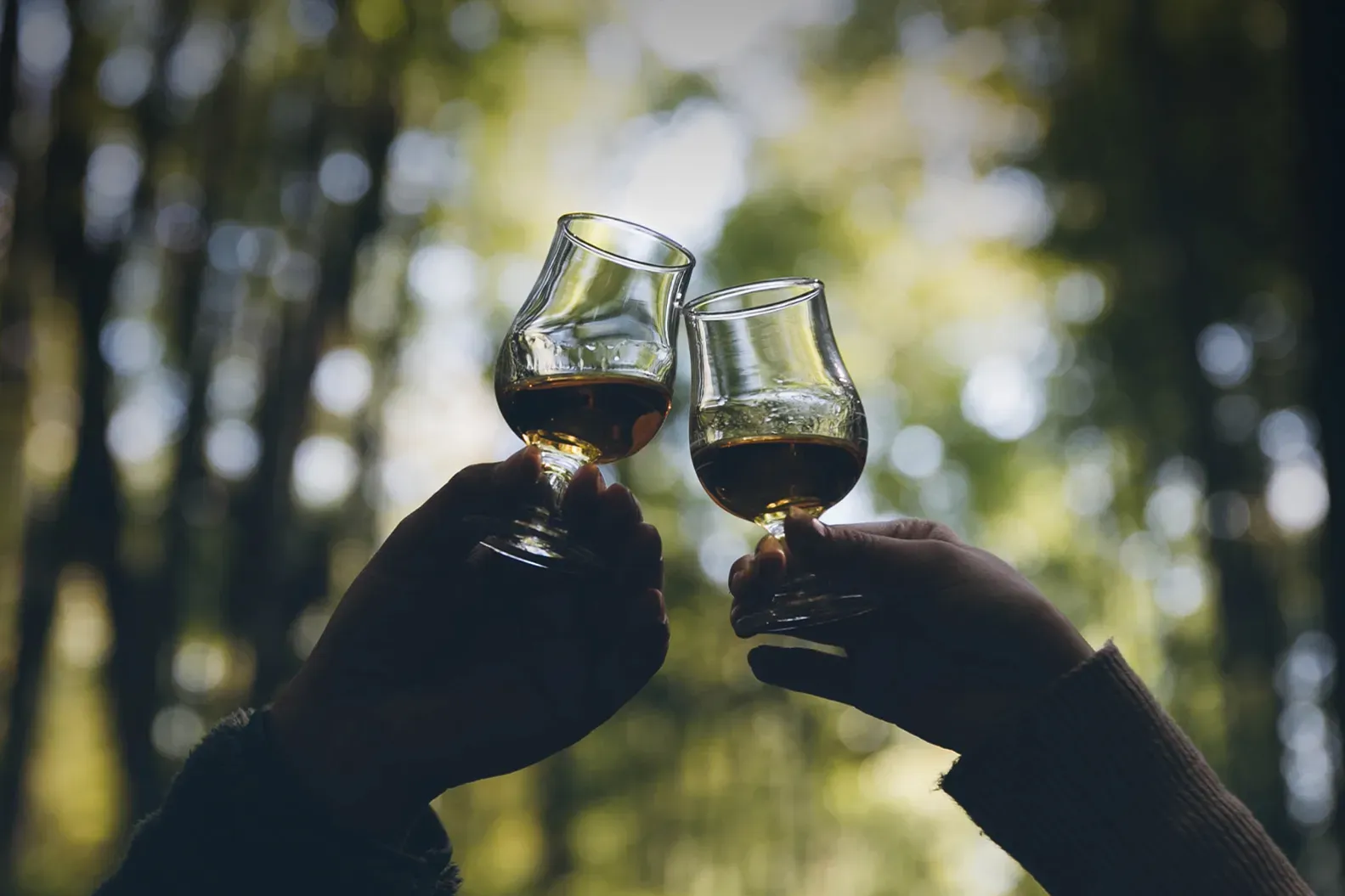 two whisky glasses