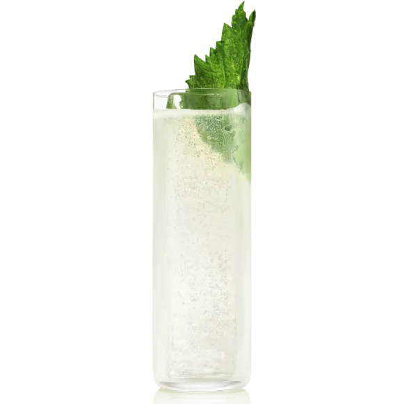 roku gin fizz in glass image
