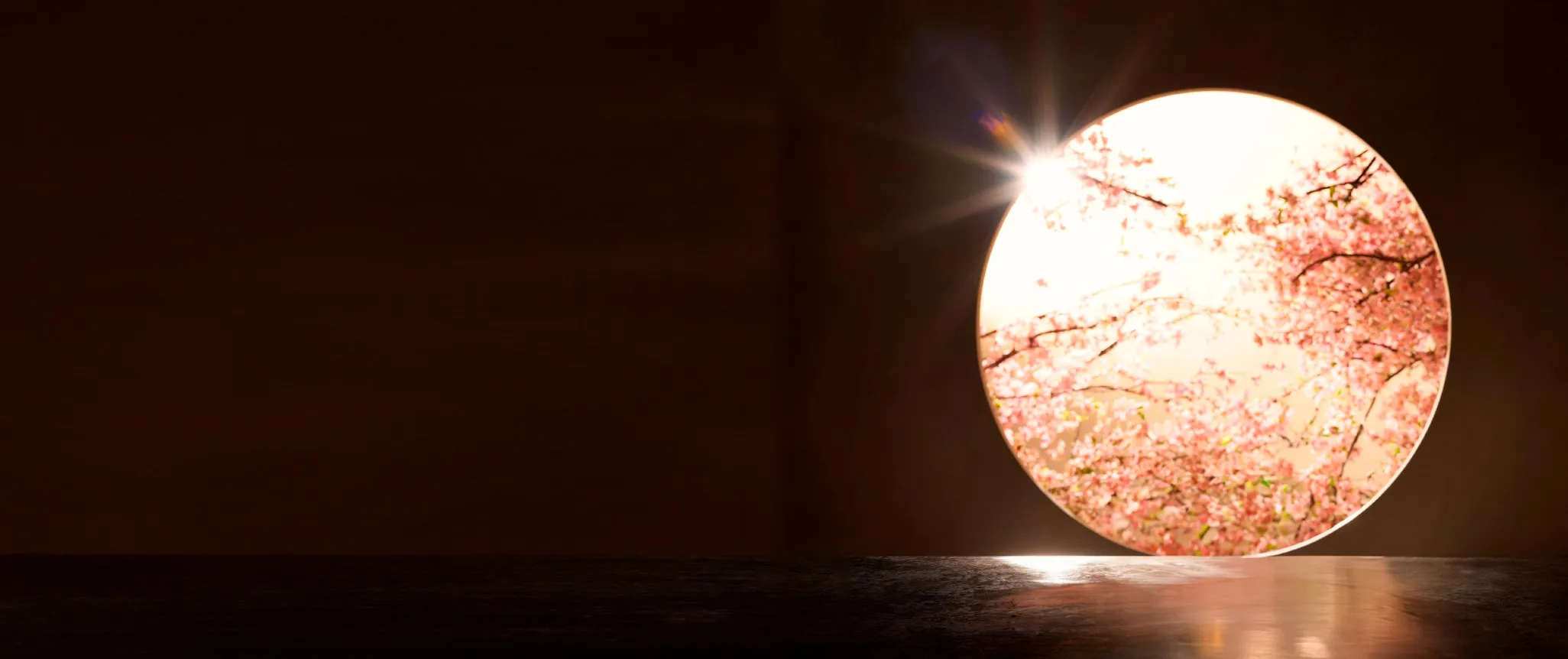 circular window cherry blossoms sunlight landscape
